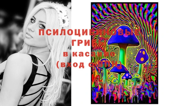 2c-b Вязники