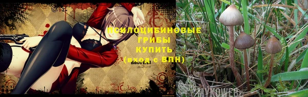 гидропоника Вязьма