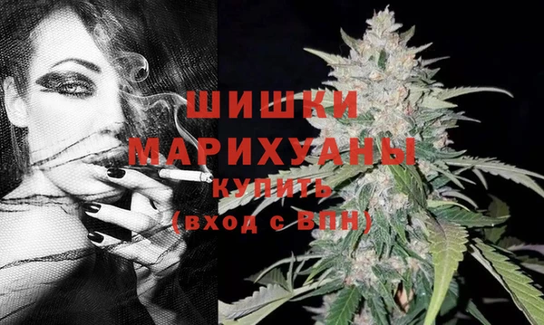 гидропоника Вязьма