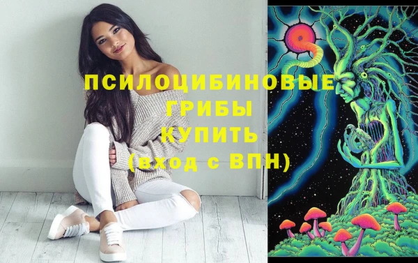 2c-b Вязники