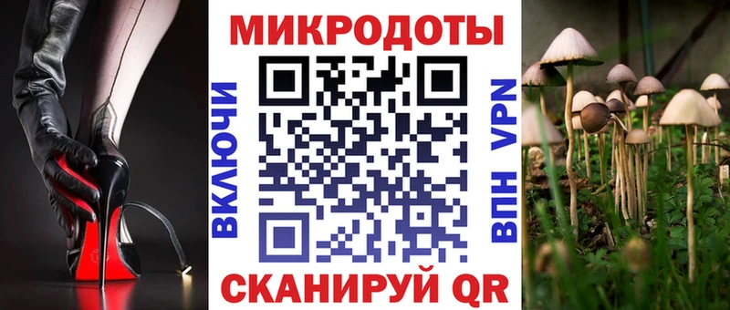 Галлюциногенные грибы Cubensis  Чкаловск 